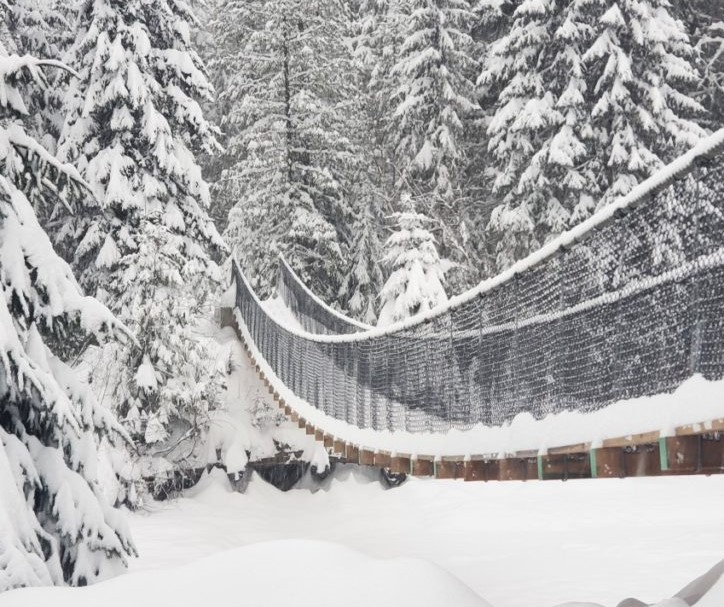 Snowy-Bridge-730x1024